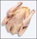 How To Clean Turkey